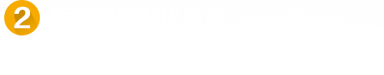 專業(yè)定制化服務